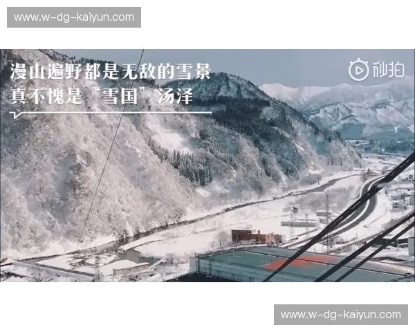 雪国与绿茵的交锋:新泻vs甲府,一场关乎荣耀与梦想的对决